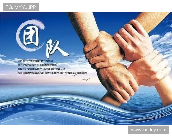 深圳排球队配合之道：探索团队协作与战术执行的完美融合